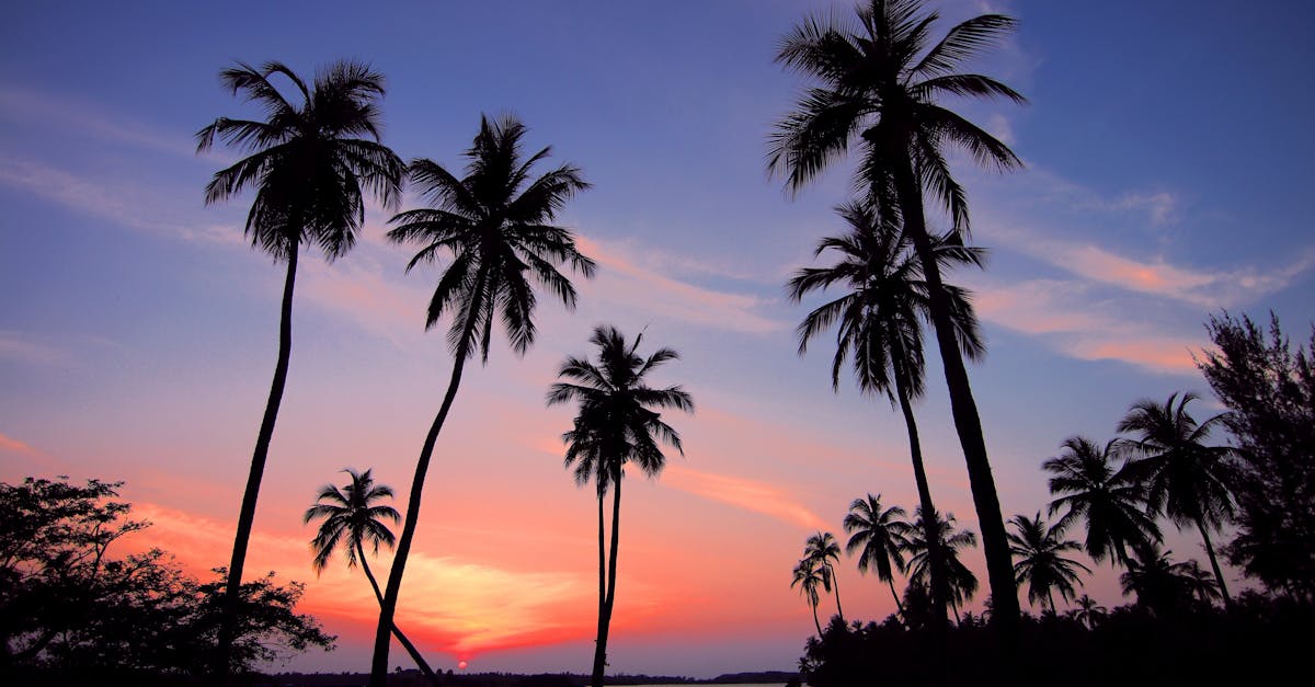 découvrez un véritable paradis sur terre, où la beauté naturelle rencontre la sérénité. explorez des paysages à couper le souffle, des plages idylliques et une atmosphère de paix et de détente. vivez une expérience inoubliable au cœur d'un lieu enchanteur qui ravira vos sens.