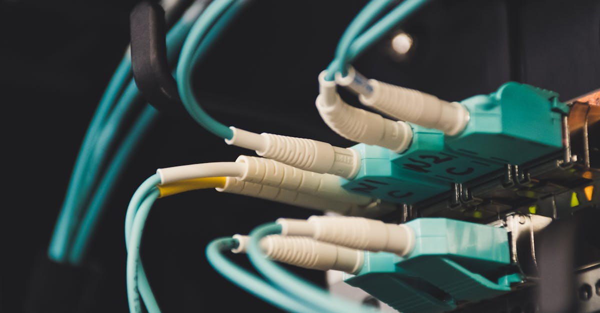 découvrez le plug, un accessoire polyvalent conçu pour améliorer votre expérience. que ce soit pour la maison ou pour des usages spécifiques, explorez ses fonctionnalités innovantes et l'impact qu'il peut avoir sur votre quotidien.