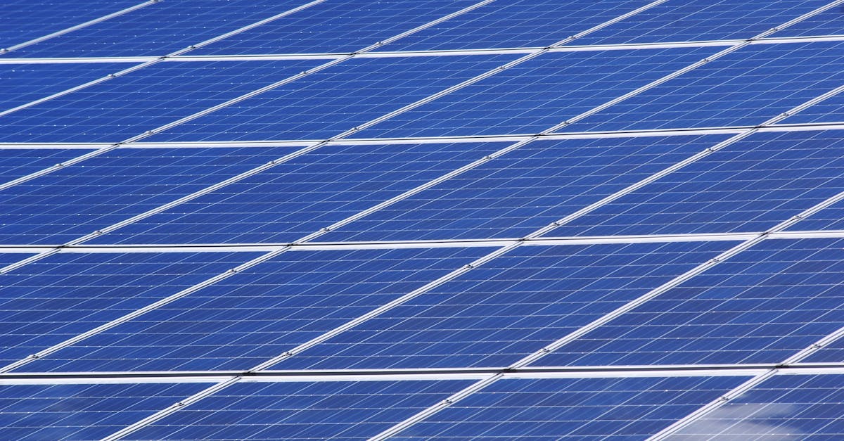 découvrez comment la durabilité transforme nos modes de vie et inspire des choix responsables pour préserver l'environnement. explorez conseils, actualités et innovations en matière de développement durable.
